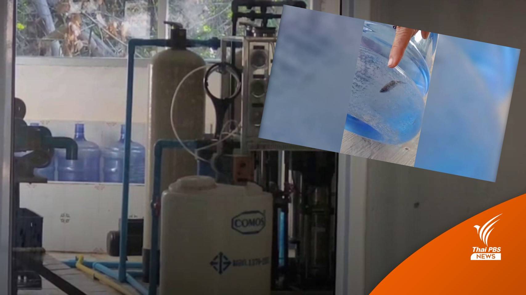 ตรวจสอบแล้ว! โรงงานน้ำดื่ม "ปลากัดว่ายในถัง" ไม่มีใบอนุญาต-ล้างถังไม่สะอาด
