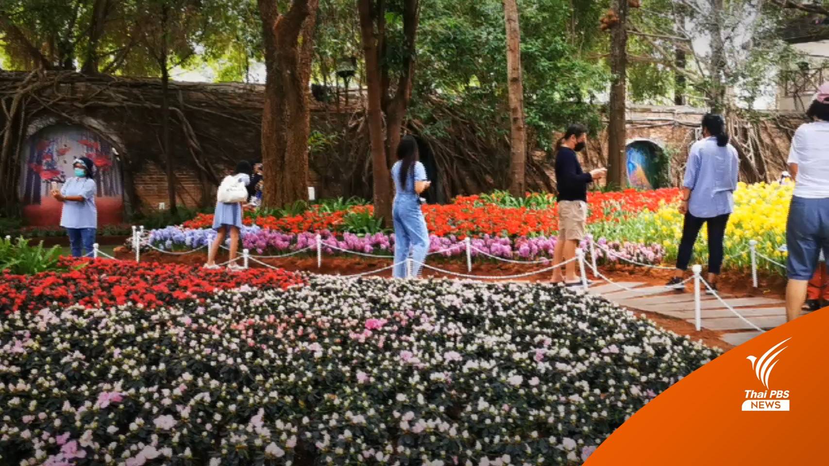 ประชาชนแห่ท่องเที่ยววันส่งท้ายปีคึกคัก