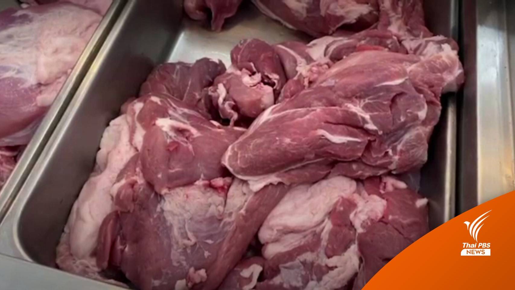 เร่งกรมปศุสัตว์ผลิตวัคซีนคุมโรคหมู คาดราคาพุ่งยาวถึงหลังปีใหม่