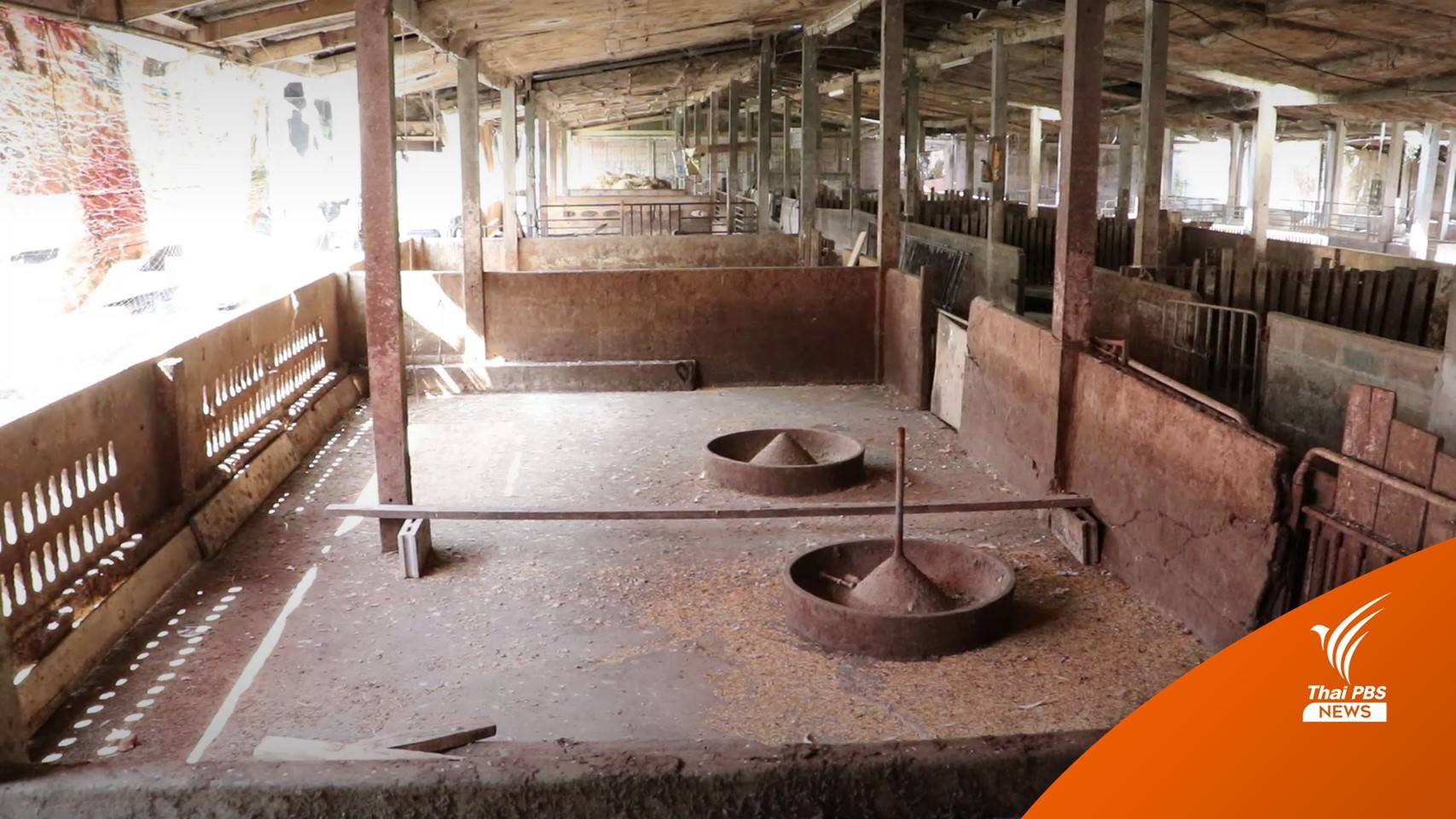 ตลาดราชบุรี สามชั้นราคา กก.ละ 240 บาท คาดตรุษจีนขยับขึ้นอีก