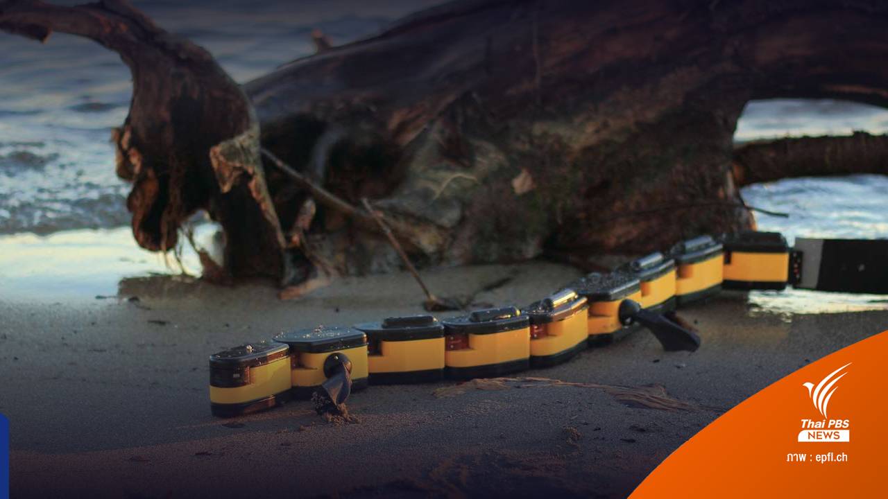 เทคโนโลยีหุ่นยนต์เลียนแบบการเคลื่อนไหวของสัตว์ในธรรมชาติ