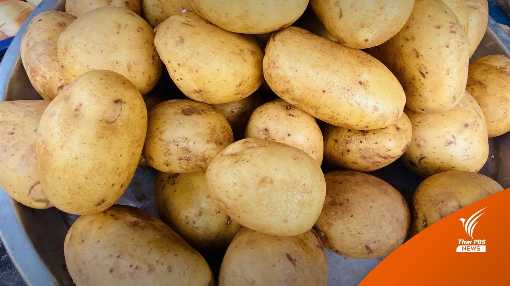 อย.แจง ญี่ปุ่นเรียกคืน "มันฝรั่ง" ผลิตส่งออก ไม่วางจำหน่ายในไทย