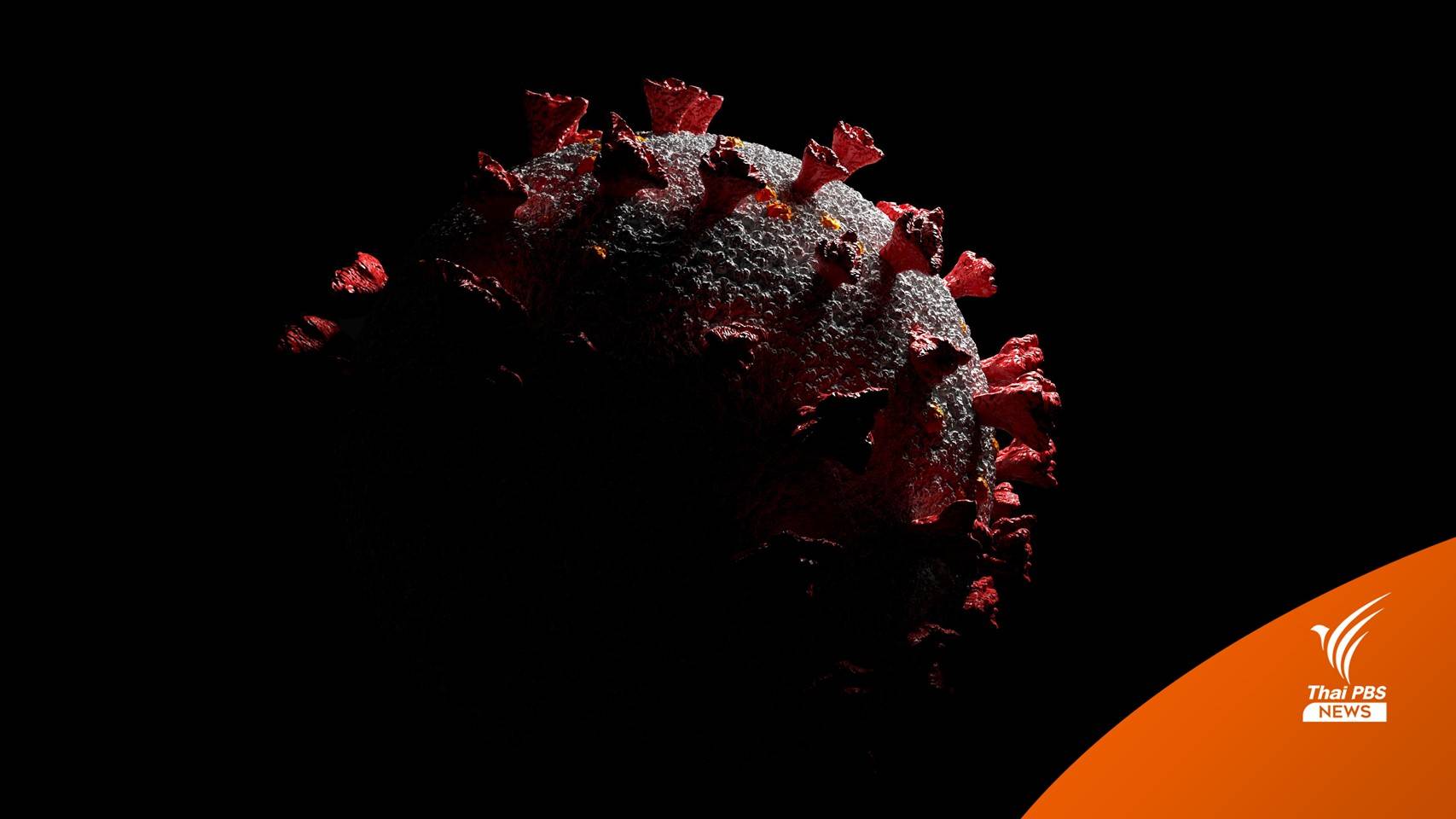 พบโอมิครอนสายพันธุ์ย่อย "BA.2" เพิ่มขึ้น