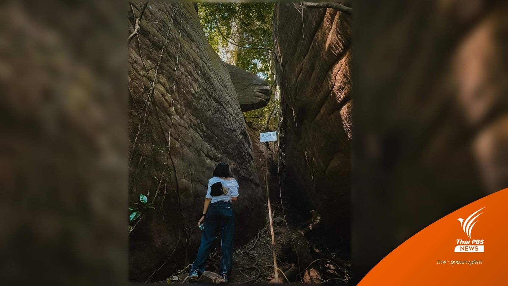 รู้จักก่อนเที่ยว "ถ้ำนาคา" งูยักษ์แห่งภูลังกา