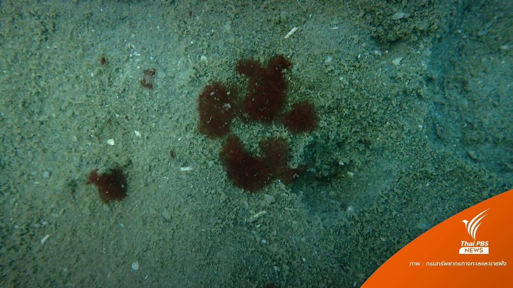 คพ.จี้ตำรวจกางตัวเลขน้ำมันรั่วเรียกฟ้องแพ่ง-กากของเสีย 69 ตัน