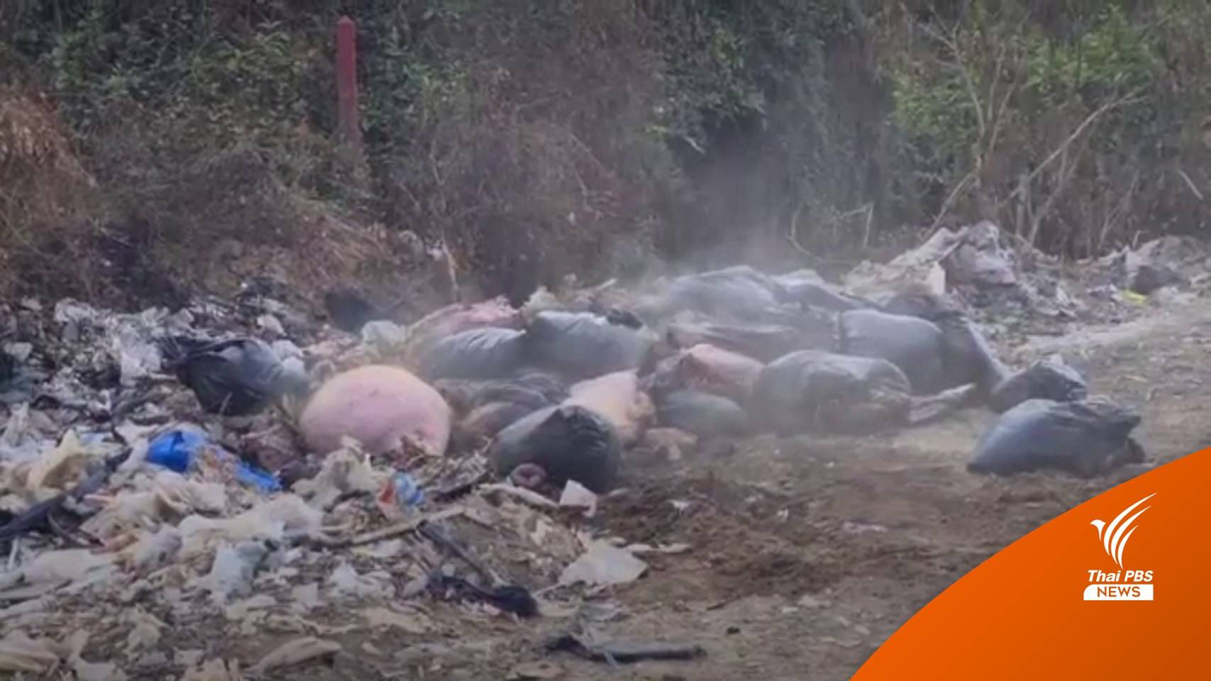 คาดทิ้ง "ซากหมู" 300 กก.ในกองขยะ เลี่ยงตรวจสอบกักตุน