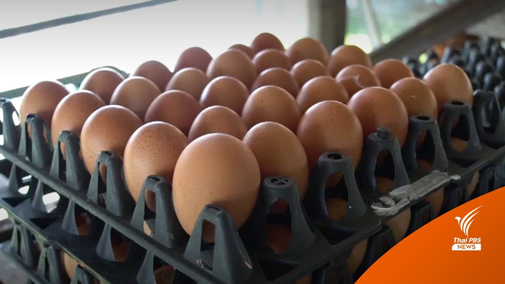 ไข่ไก่คละหน้าฟาร์มปรับ 10 สตางค์ต่อฟอง