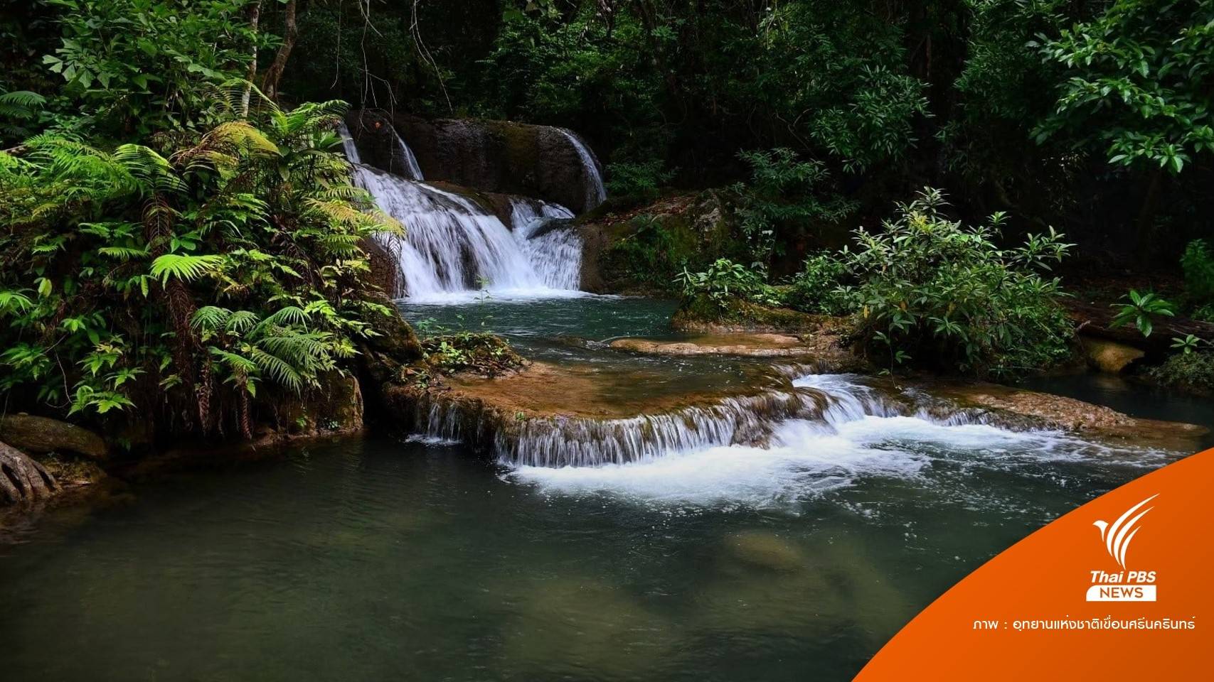 จนท.ติดโควิด 4 คนอุทยานฯ เขื่อนศรีนครินทร์ ปิดจุดพักค้างแรม 2-14 มี.ค.