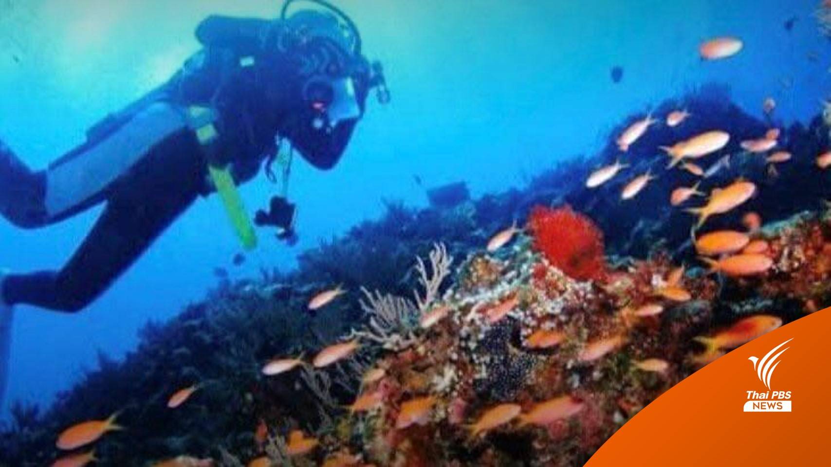 ทส.ยก "เกาะโลซิน" พื้นที่คุ้มครองทรัพยากรทางทะเล มีผล 28 ก.ค.นี้