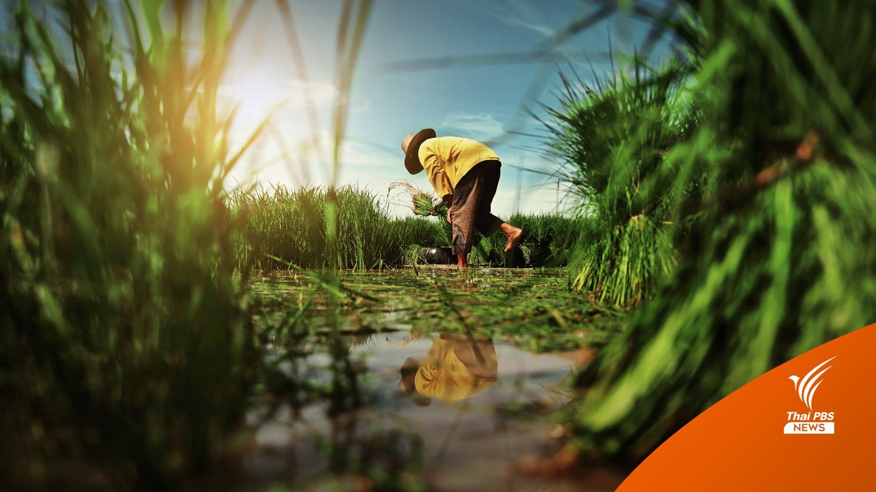 ครม.ไฟเขียว 2,054 ล้านบาท ฟื้นวิสาหกิจชุมชนจากโควิด