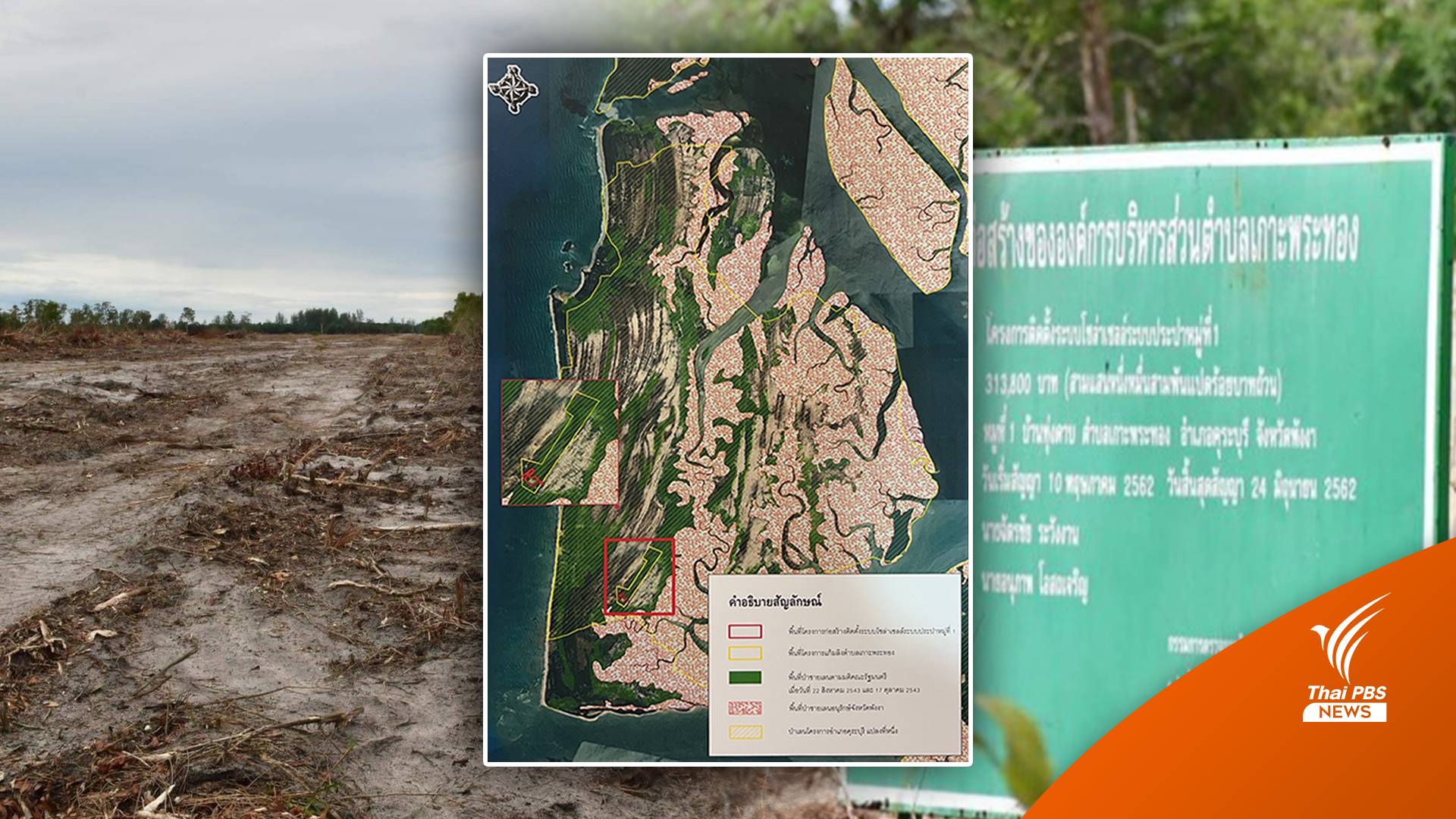 อธิบดี ทช.สั่งระงับไถป่าชายเลนเกาะพระทอง-ขัดมติครม.คุ้มครอง