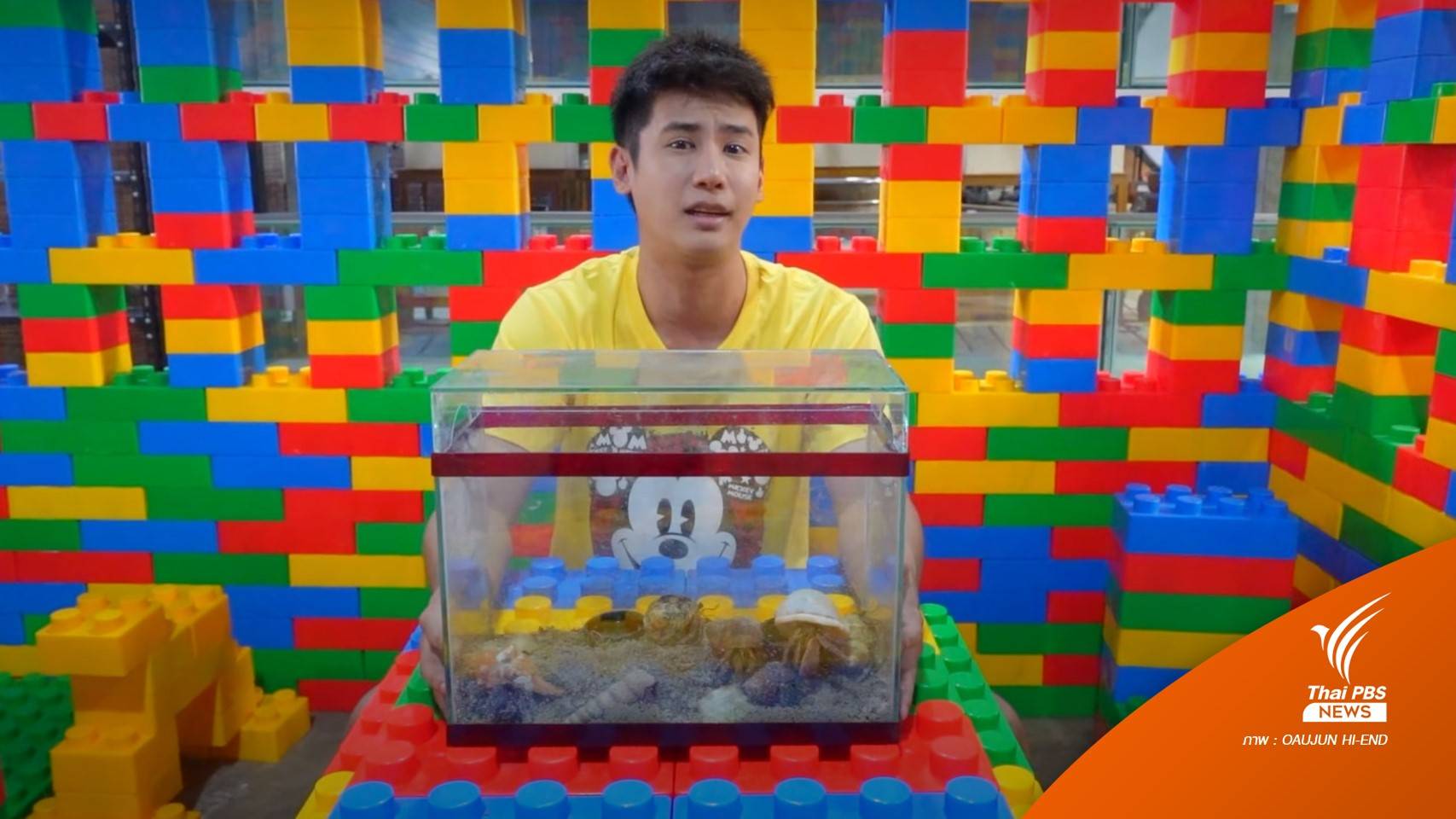 ยูทูบเบอร์ "อู๋จุน" ขอโทษดรามาจับปูเสฉวนมาเลี้ยง สัญญาส่งคืนทะเล