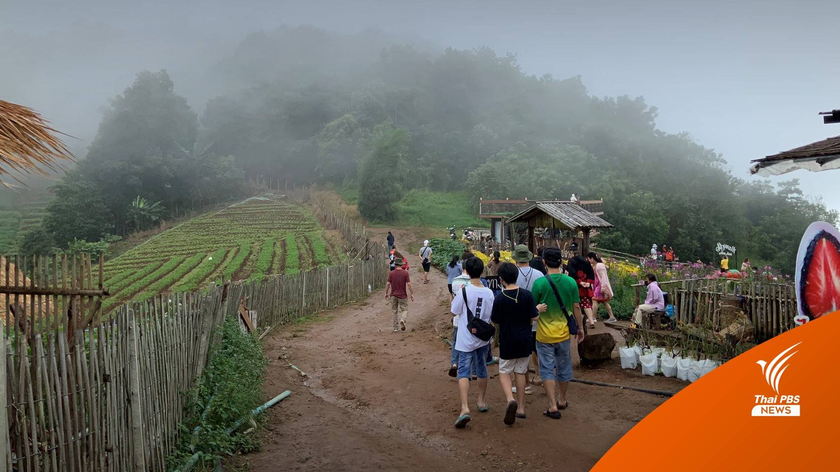 เริ่มหนาว 2 พ.ย. กรมอุตุฯ ประกาศเข้าสู่ฤดูหนาว