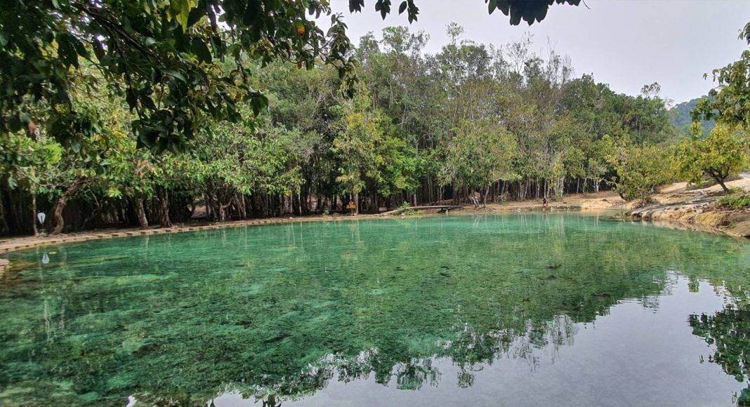 เปิดเที่ยว "สระมรกต" กระบี่ จำกัดนักท่องเที่ยวเล่นน้ำรอบละ 50 คน