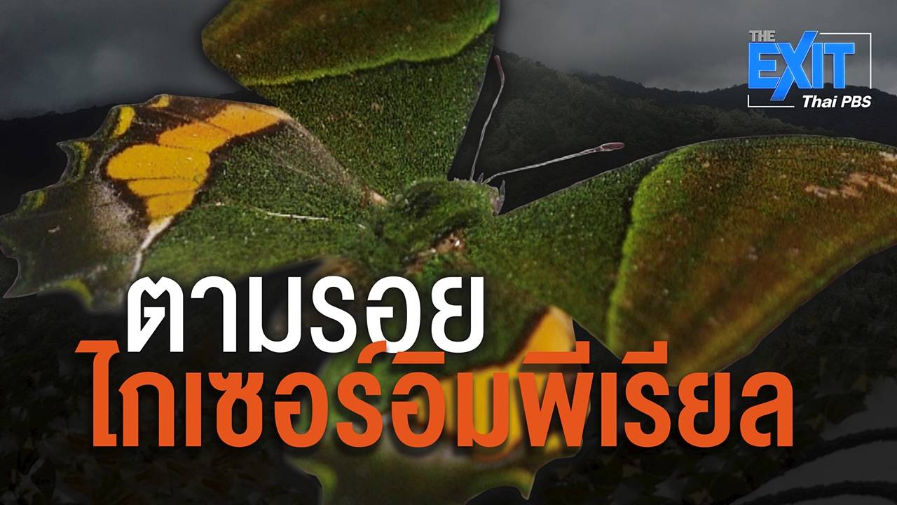 The EXIT : ตามรอยไกเซอร์อิมพีเรียล