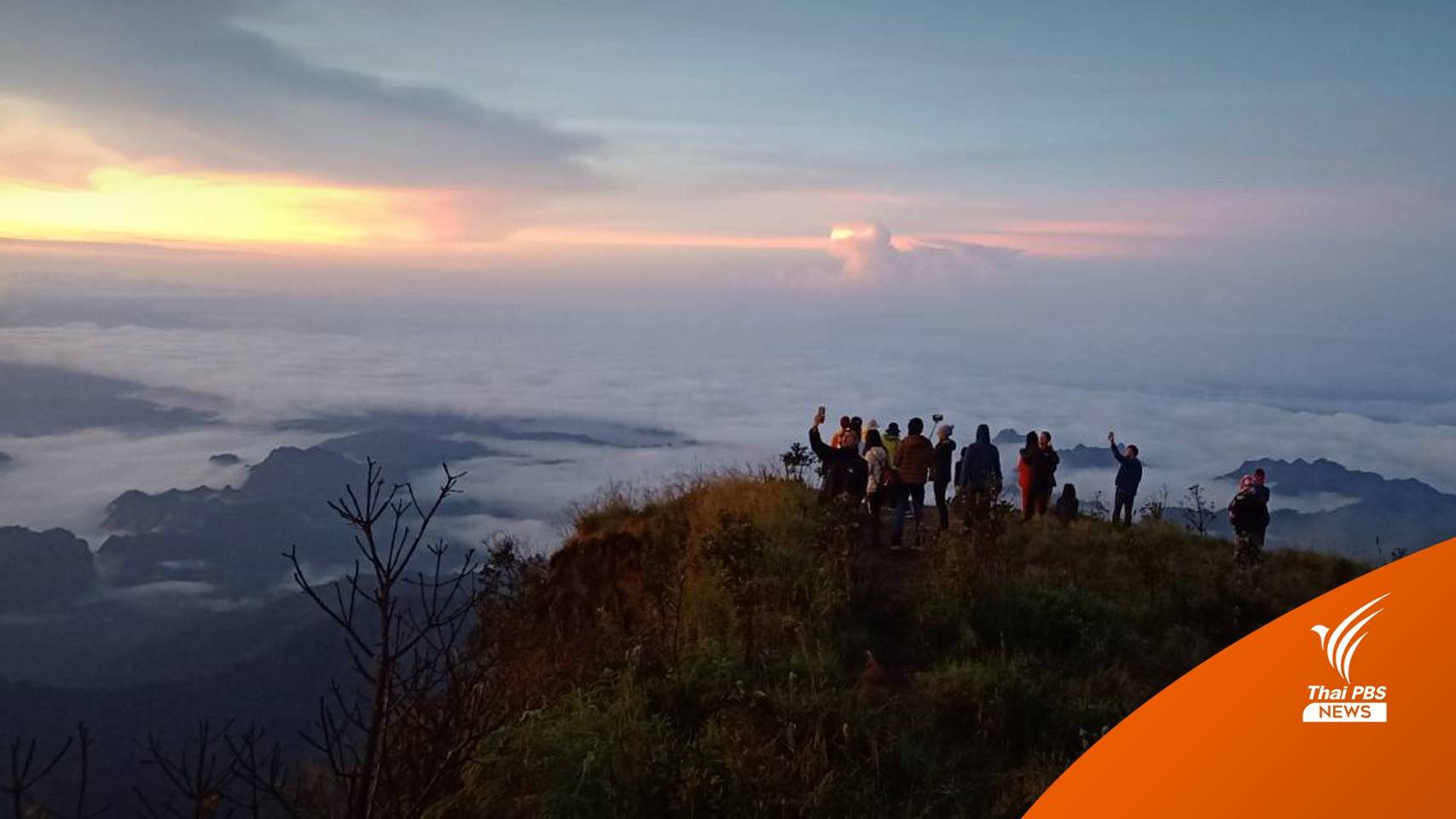 แห่สัมผัสลมหนาว "สันหนอกวัว" อุทยานฯ เขาแหลม