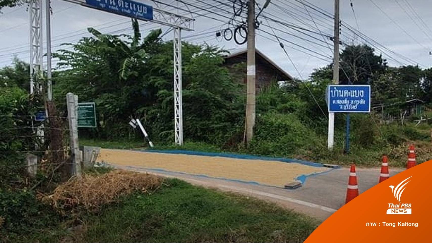 จบดราม่า! ตากข้าวเปลือกบนถนน-ยอมถอยเหลือเลนเดียว