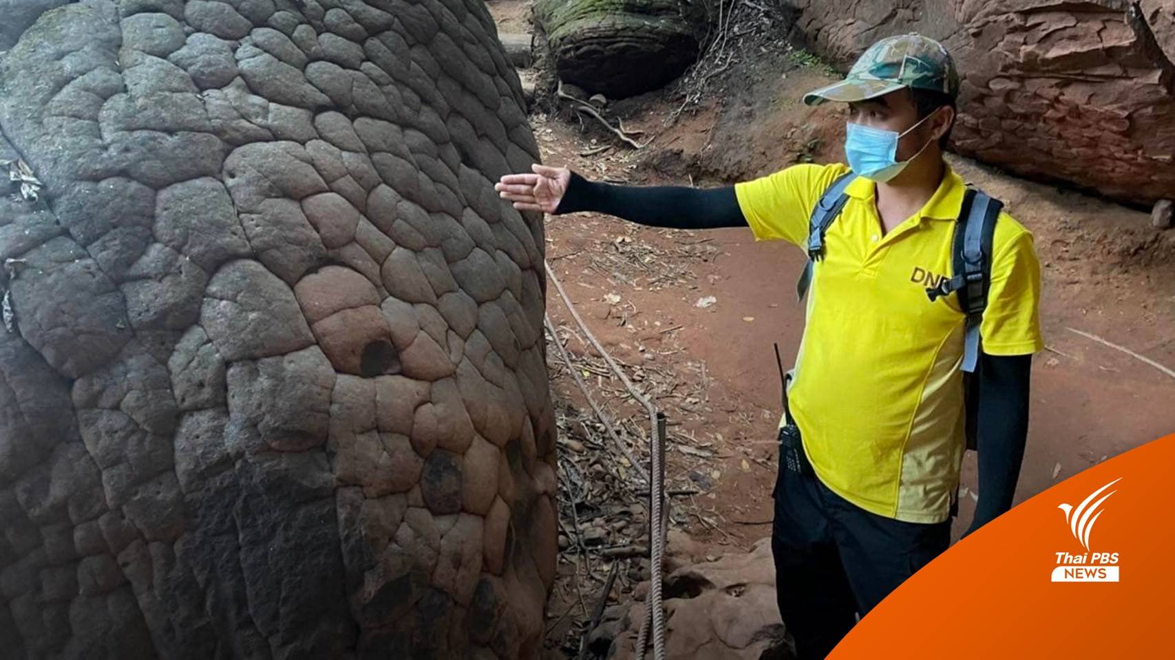 ห้ามเลียนแบบ เทน้ำอบใส่ "หินหัวนาคา" บนภูลังกา