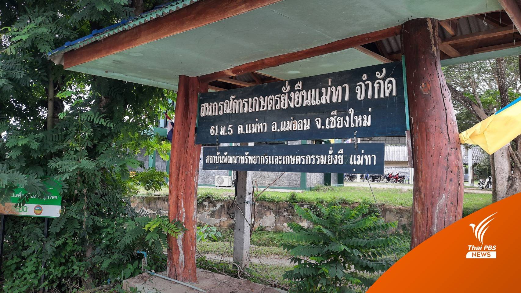 ชาวแม่ทาตื่นตัวเลือกตั้ง อบต. หวังได้ผู้นำแก้ปัญหาโฉนดชุมชน