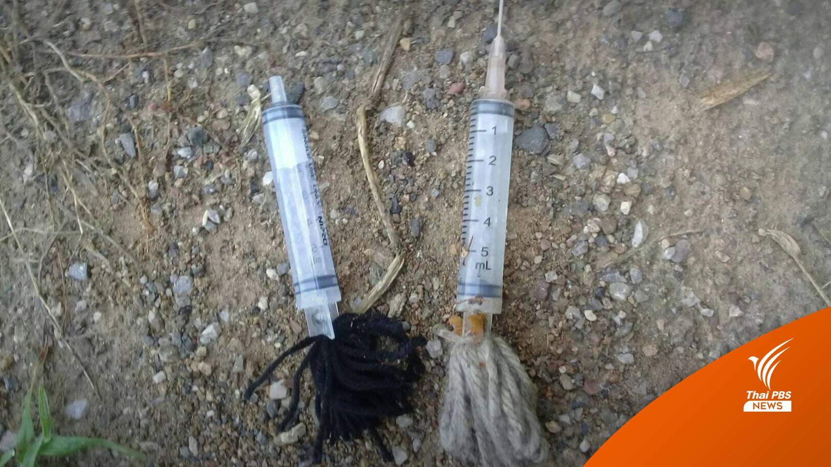 พบ "ลูกดอกยิงยาสลบ" โผล่วัดแถวบึงสามพัน คาดแก๊งจับลิงขาย