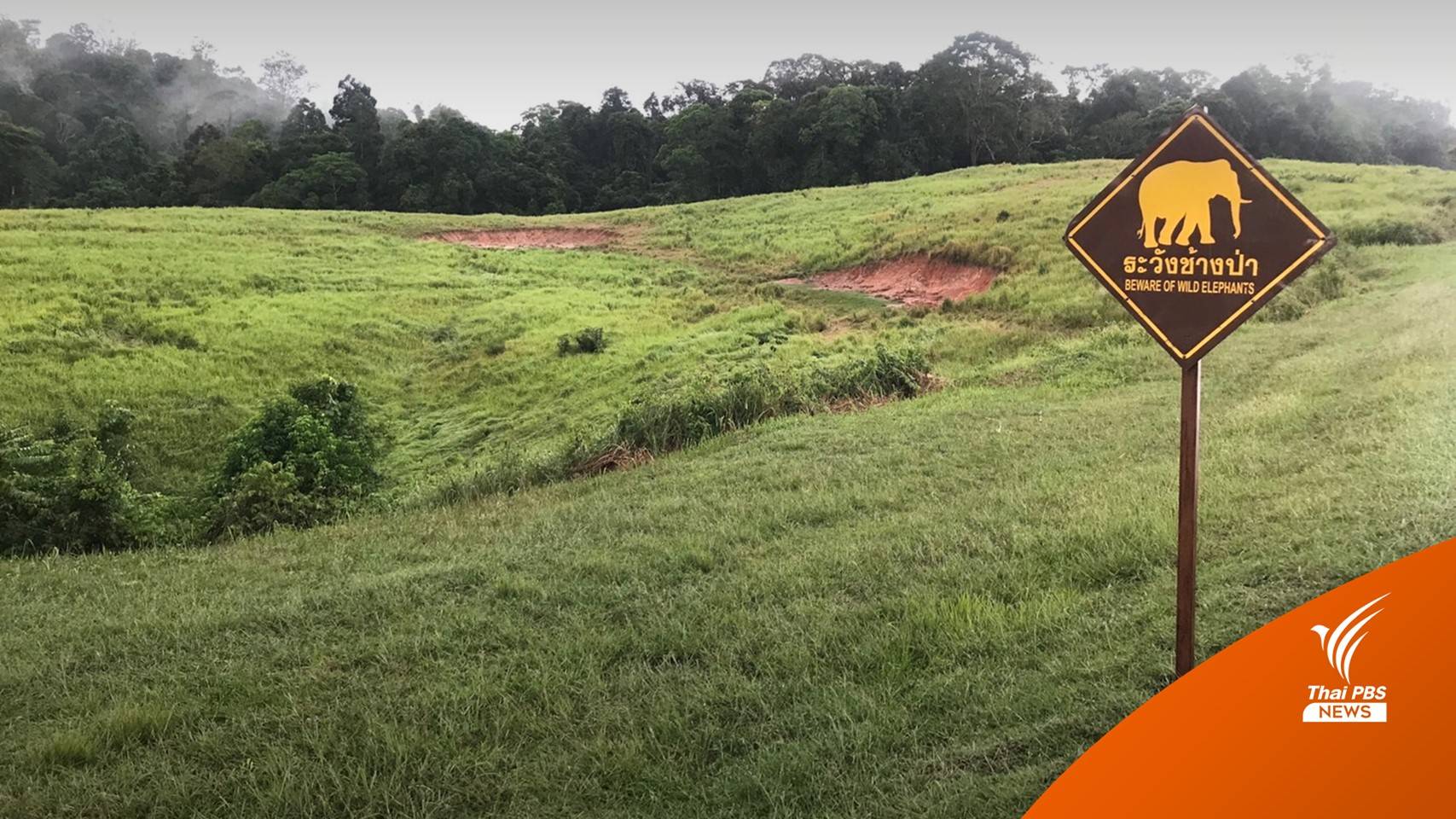 “วราวุธ” สั่งเบรกแบบเส้นทางศึกษาธรรมชาติทุ่งหญ้าหนองผักชี เขาใหญ่