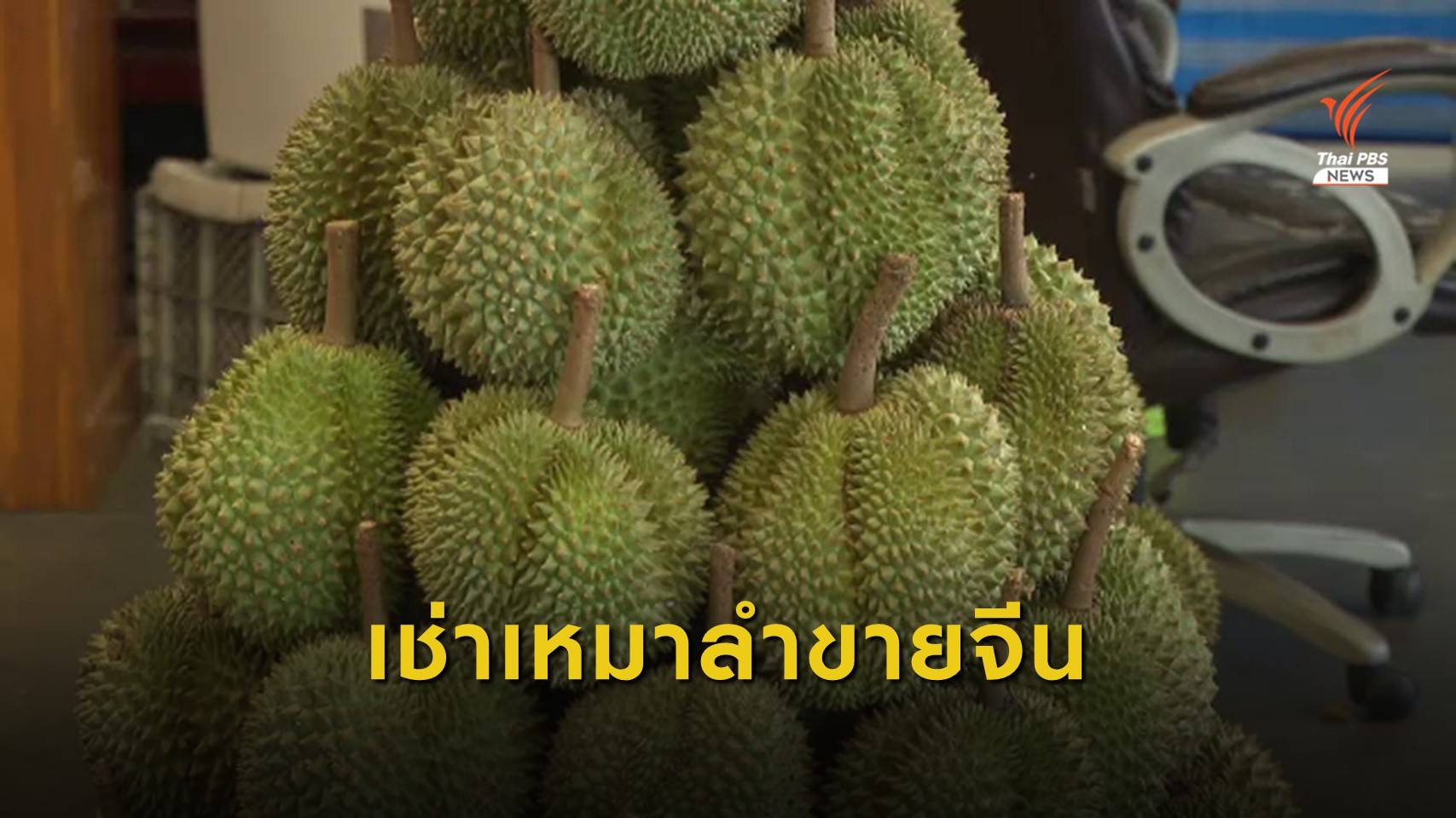 ทุเรียนไทยขายดี เช่าเหมาลำส่งออกไปจีน