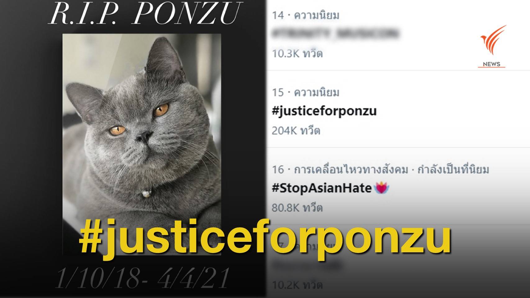 #justiceforponzu แมวตาย - หญิงไทยถูกทำร้ายในสหรัฐฯ คดีไม่คืบ 