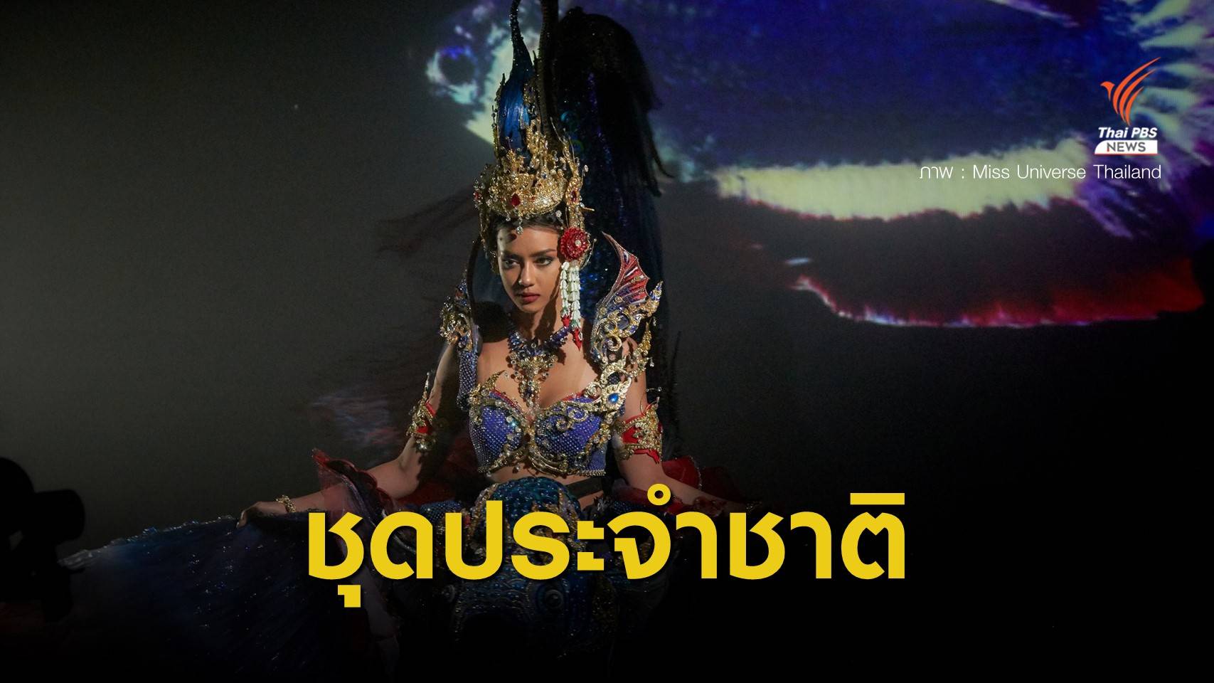 สื่อสารประเด็นสังคม - สีสันชุดประจำชาติ Miss Universe 2020
