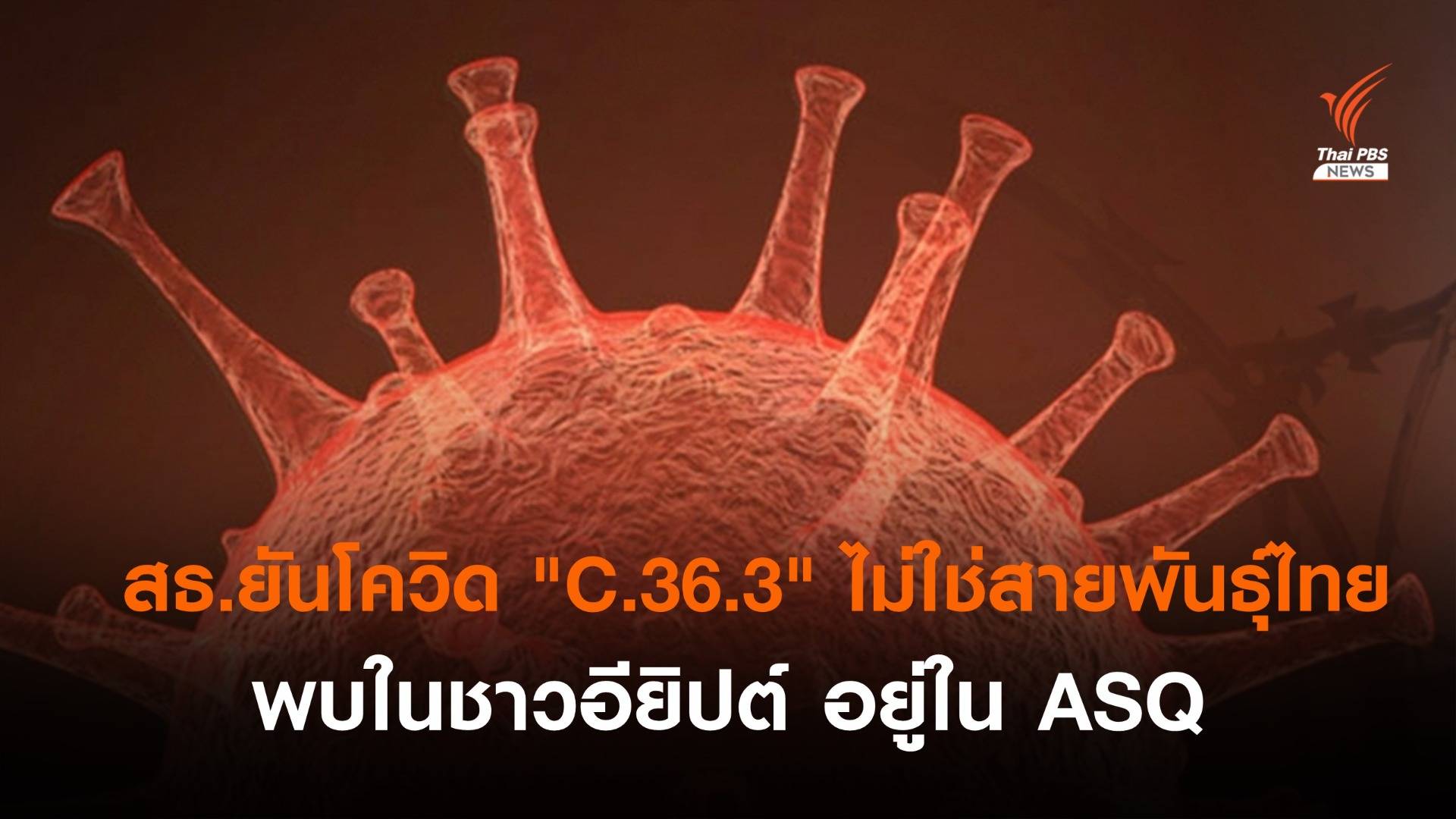 สธ.ยันโควิด "C.36.3" ไม่ใช่สายพันธุ์ไทย พบในชาวอียิปต์ อยู่ใน ASQ 