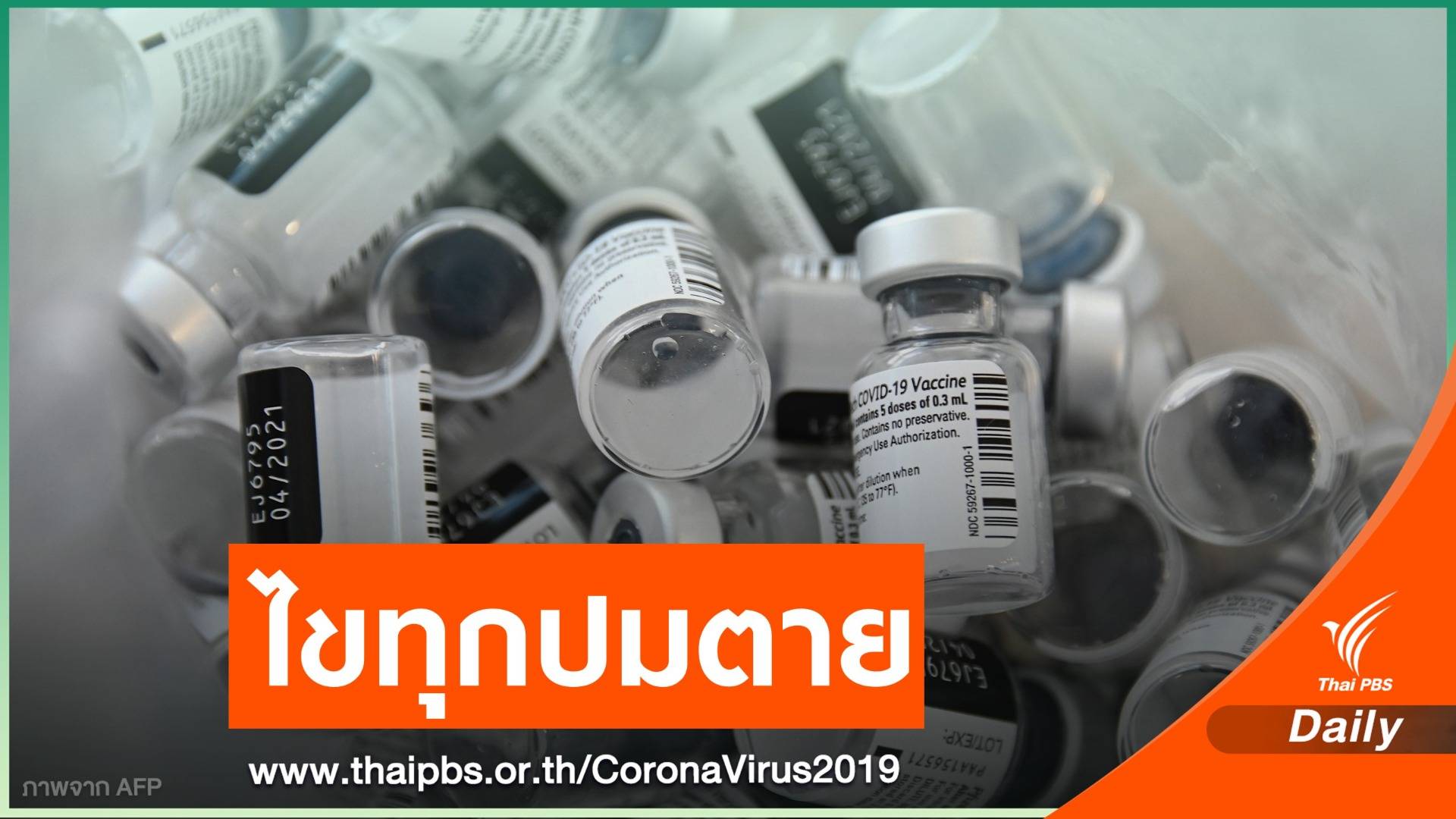 "หมอยง" ชี้เคสฉีดวัคซีนโควิดตาย อยู่ในกลุ่มสูงอายุ-มีโรคประจำตัว