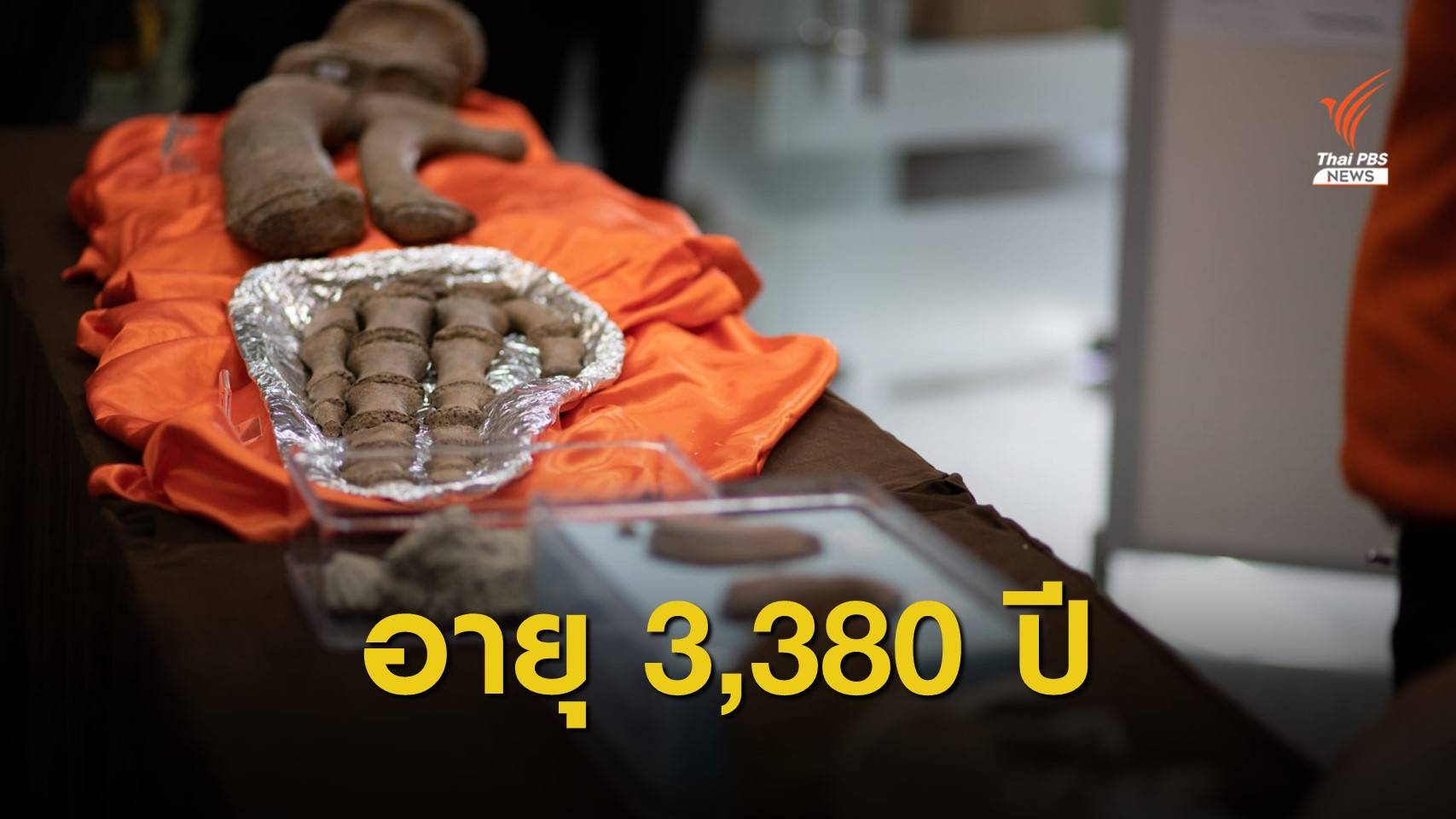 ไขปริศนาอายุ “วาฬอำแพง” บ่งชี้ 3,380 ปีก่อน "บ้านแพ้ว" เป็นทะเล