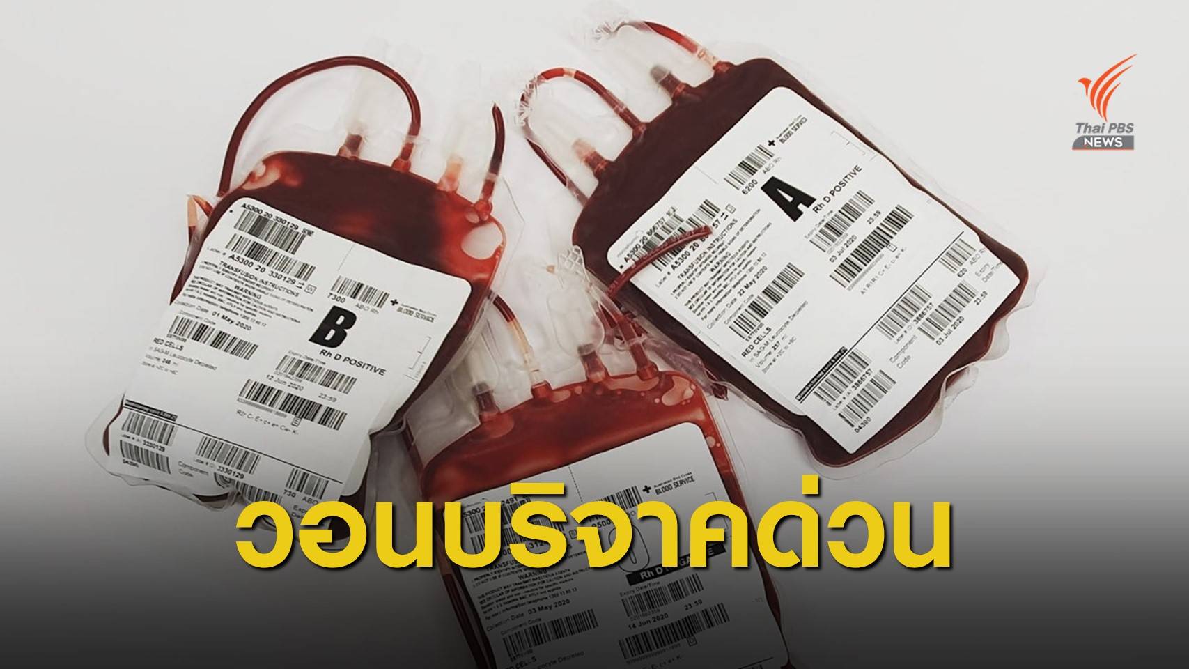 รพ.ศิริราช หวั่นเลือดสำรองไม่พอใช้ 1 ก.พ.เปิดรักษาเต็มรูปแบบ