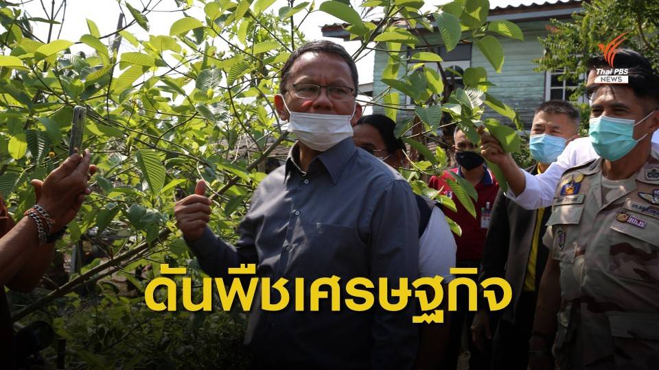 "สมศักดิ์" ลงพื้นที่หมู่บ้านนำร่องพืชกระท่อมคลองสาม เก็บข้อมูลร่างกฎหมาย