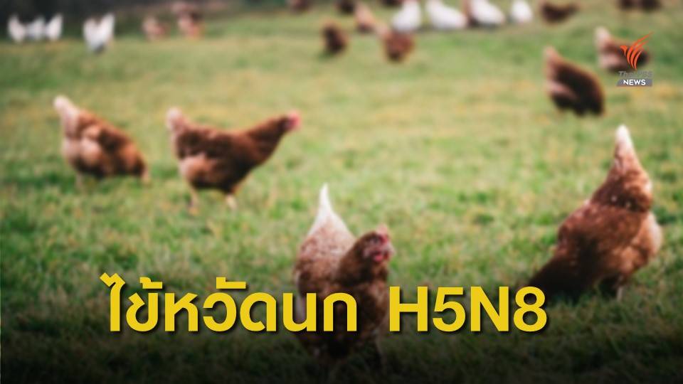 รัสเซียพบผู้ติดเชื้อไข้หวัดนก "H5N8" ครั้งแรกของโลก