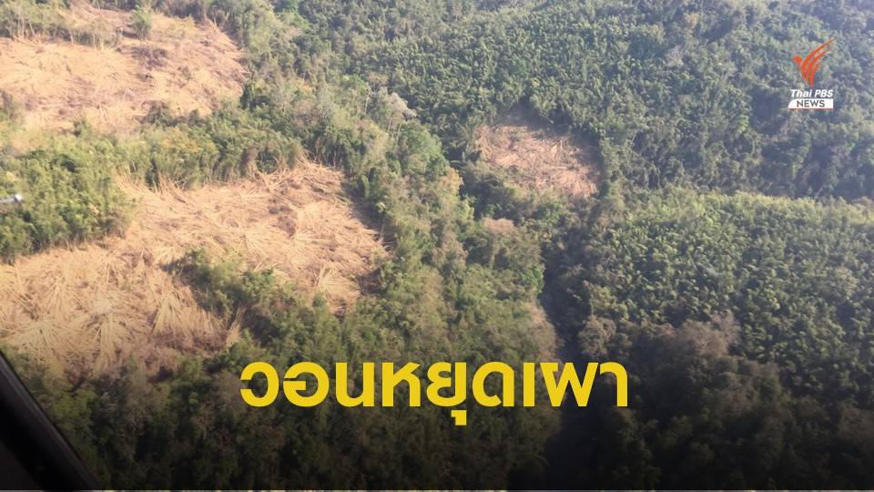 “วราวุธ” วอนหยุดเผา "ป่าแก่งกระจาน" เตรียมชงข้อมูล เข้าครม.