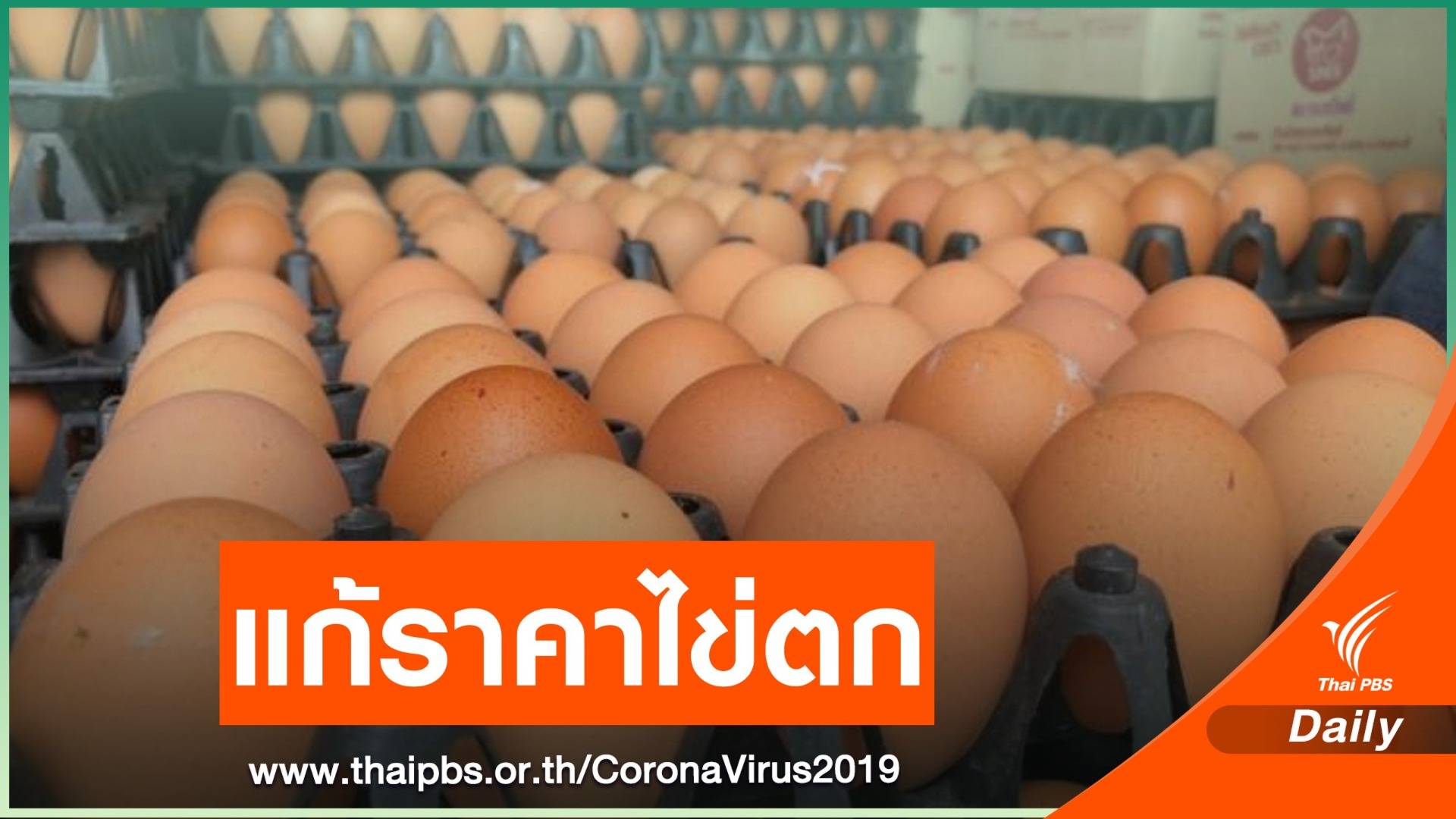 เร่งผลักดันส่งออก "ไข่ไก่" แก้ล้นตลาด - ราคาตก