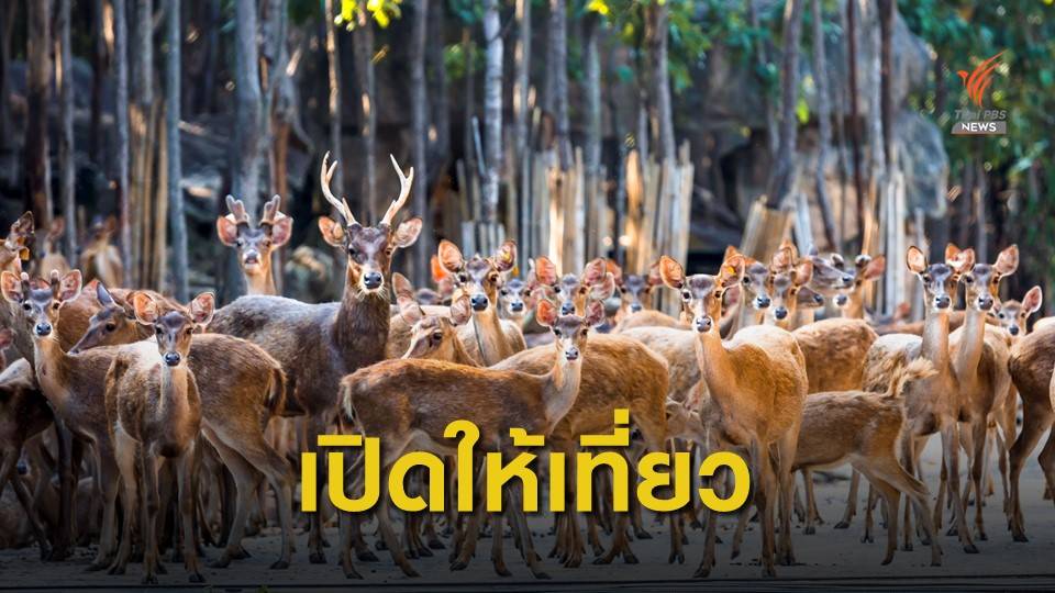 องค์การสวนสัตว์ฯ ชวนเที่ยวตรุษจีน-วาเลนไทน์