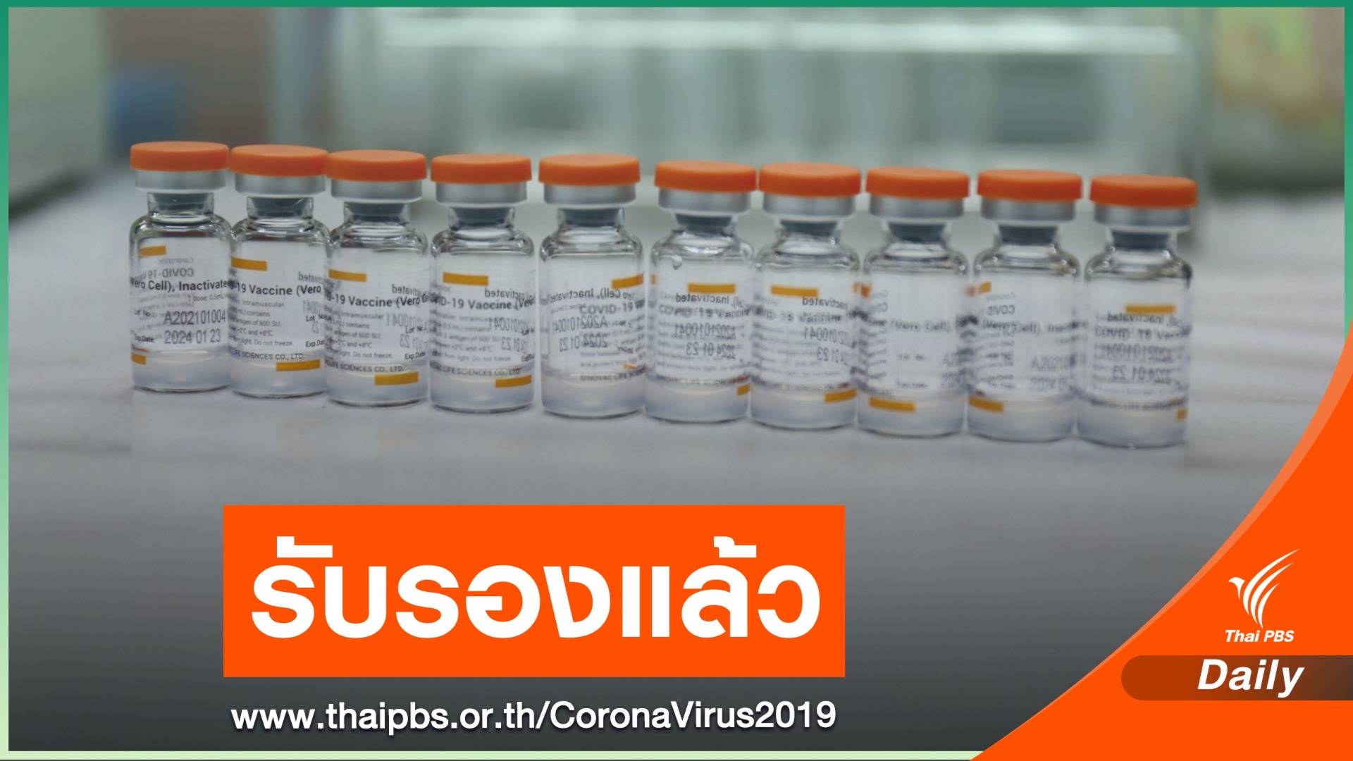 กรมวิทย์ฯ รับรองวัคซีน Sinovac ยันปลอดภัยฉีดให้คนไทยได้