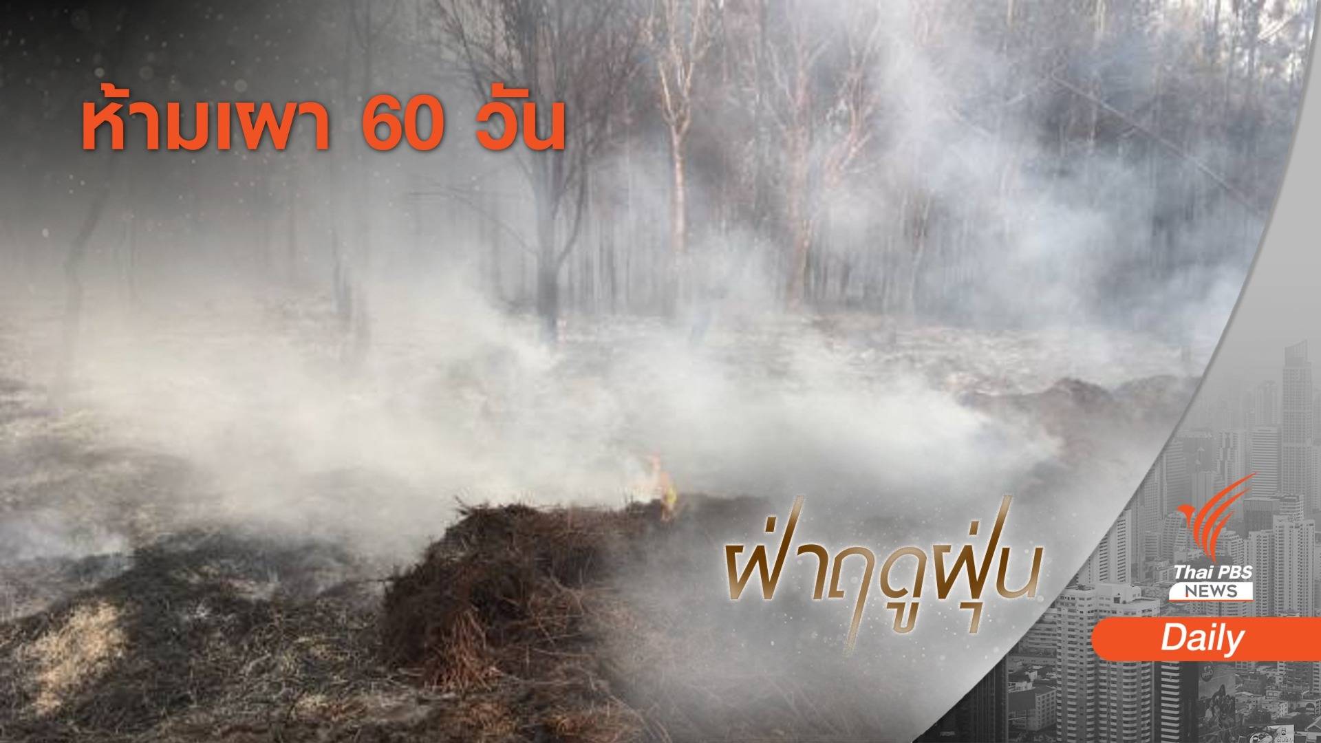 เชียงใหม่ ออกประกาศห้ามเผาทุกชนิด 1 มี.ค.-30 เม.ย.นี้