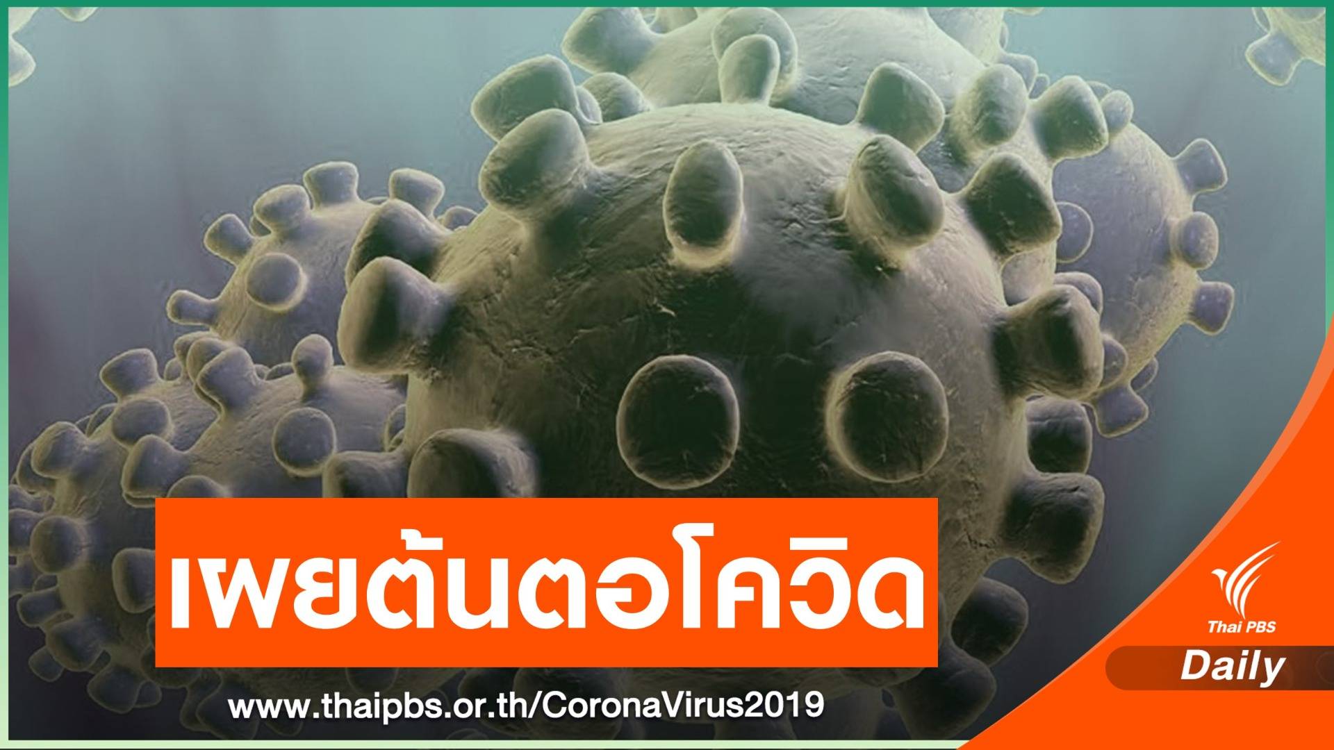 รายงานอนามัยโลกชี้ COVID-19 แพร่จากสัตว์สู่คน