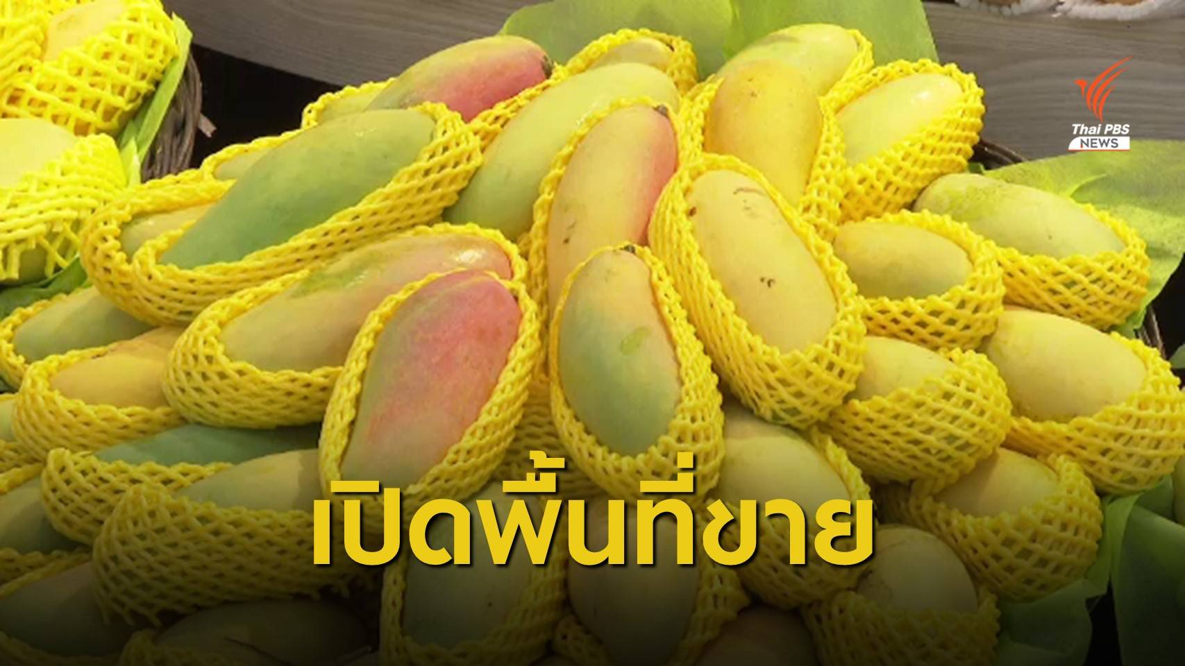 ห้างค้าปลีกเปิดพื้นที่ช่วยระบายผลไม้