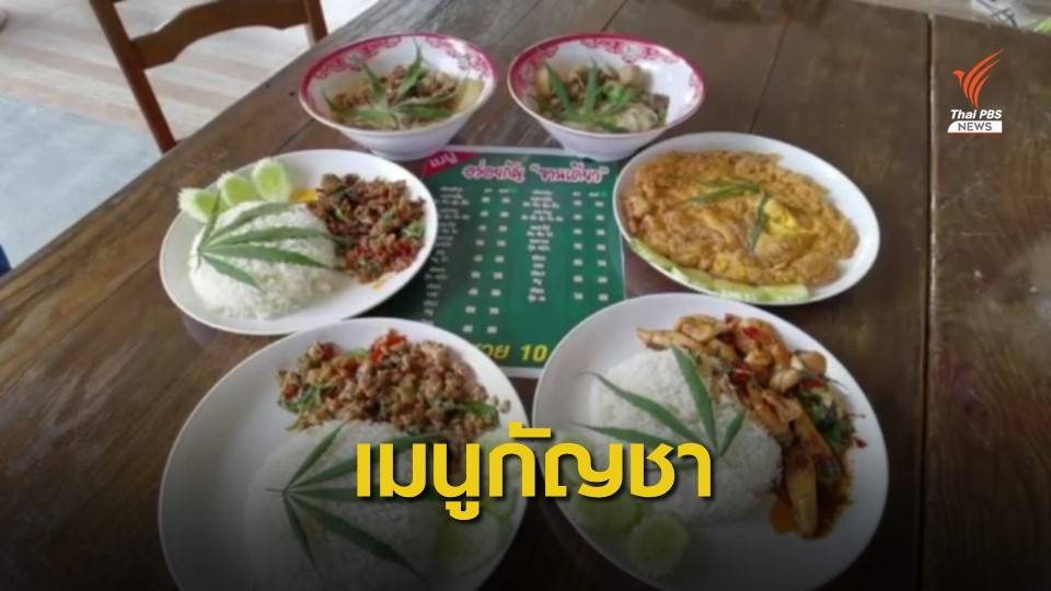 กระแสนิยมอาหารผสมกัญชา จ.ชลบุรี