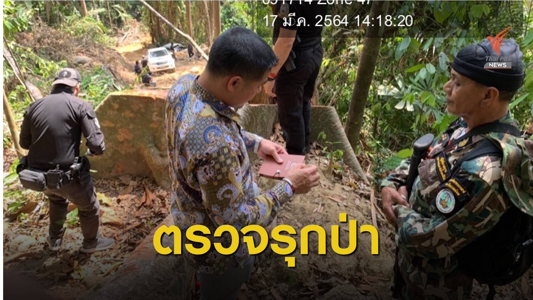 DSI ลงพื้นที่สืบสวนบุกรุกป่า-ตัดไม้ อ.ศรีสาคร จ.นราธิวาส