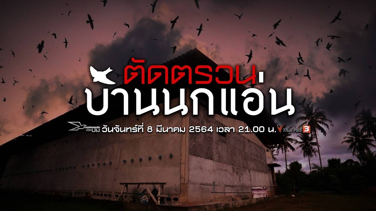 เปิดปม : ตัดตรวนบ้านนกแอ่น