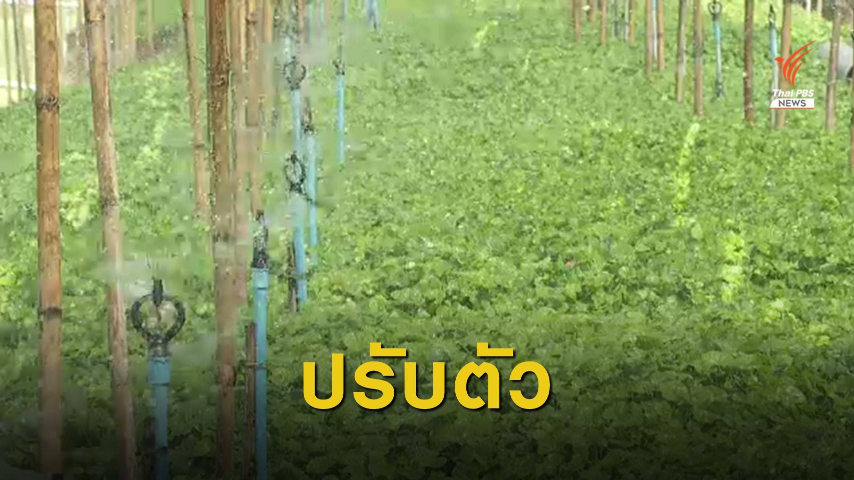 โควิด-19 กระทบสินค้าเกษตรแปรรูป