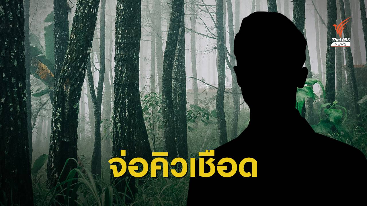 กางชื่อนักการเมือง-ส.ส.รอคิวเชือดปมรุกป่า