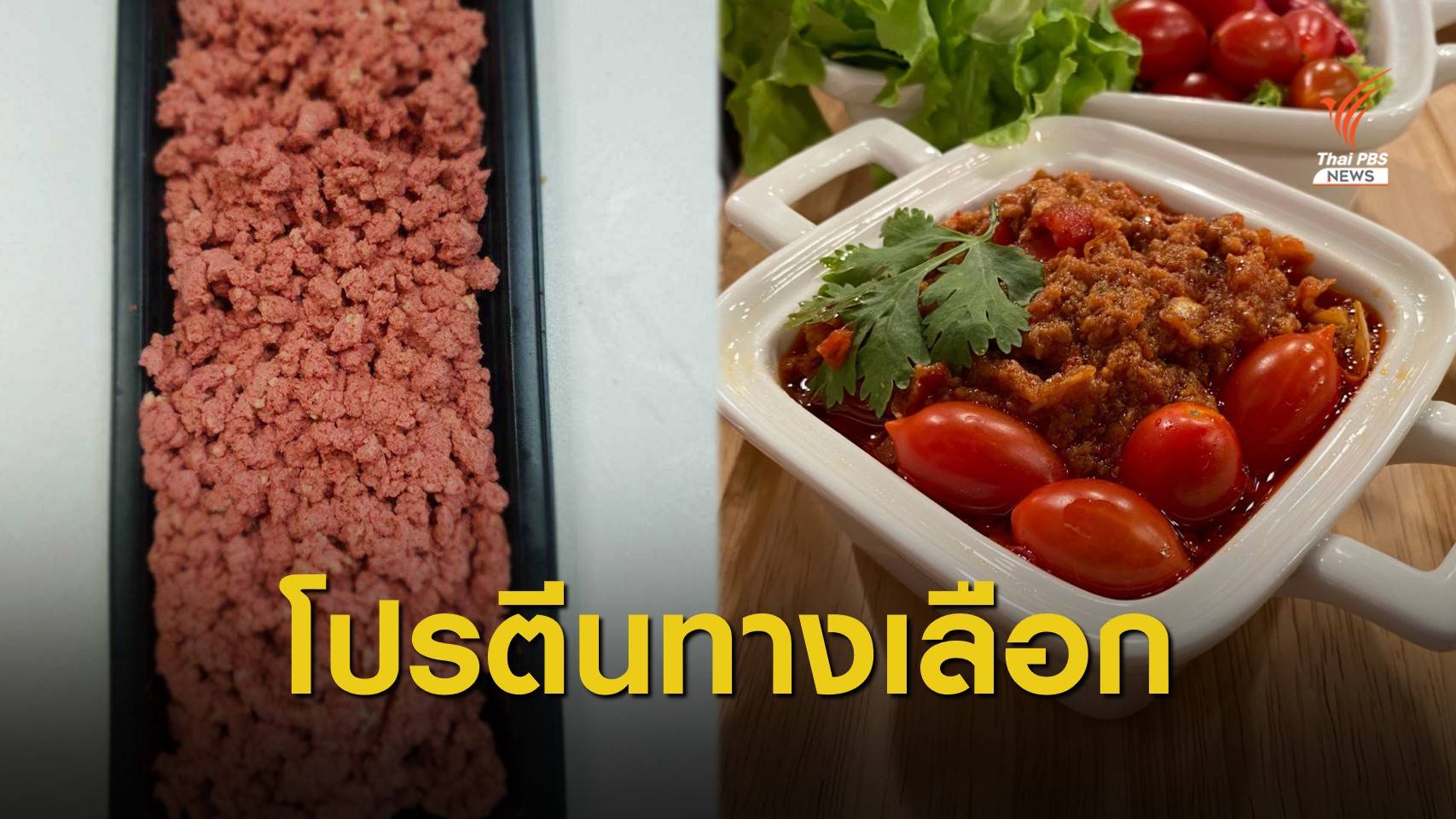 ครั้งแรกในไทย วิจัย “โปรตีนทางเลือกจากจุลินทรีย์” สู่เนื้อบดเทียม