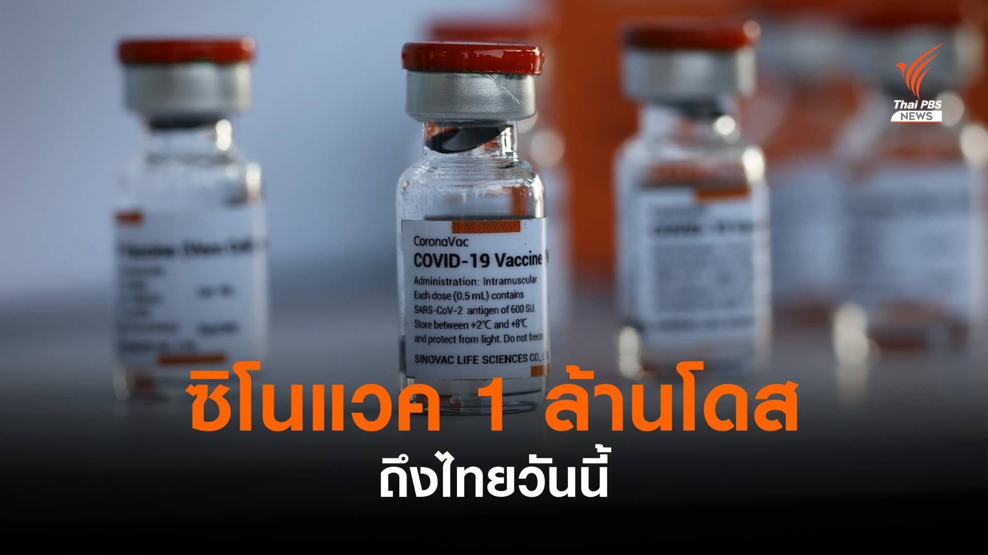 ซิโนแวค 1 ล้านโดสถึงไทยวันนี้ เร่งส่งตรวจคุณภาพก่อนกระจายทั่ว ปท.