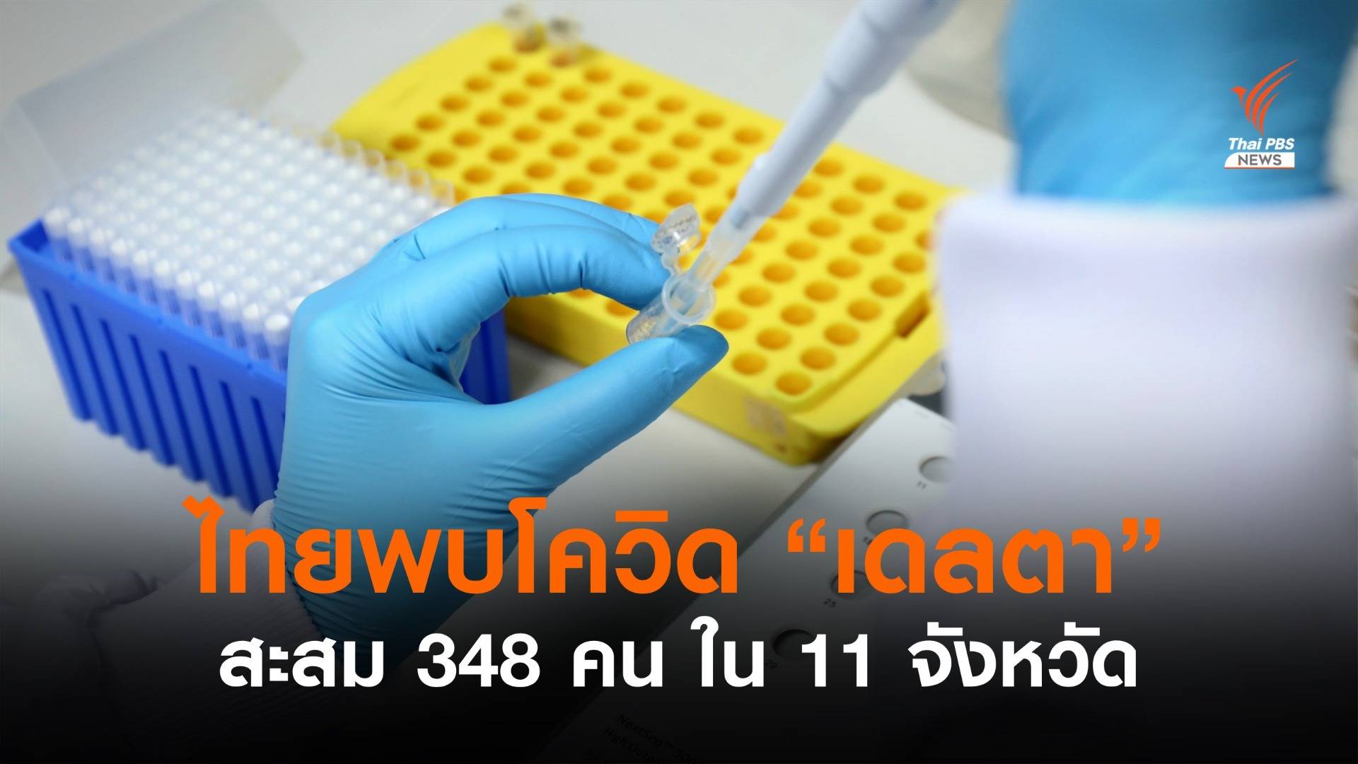 ไทยพบสายพันธ์ุเดลตาสะสม 348 คน ลาม 11 จังหวัด