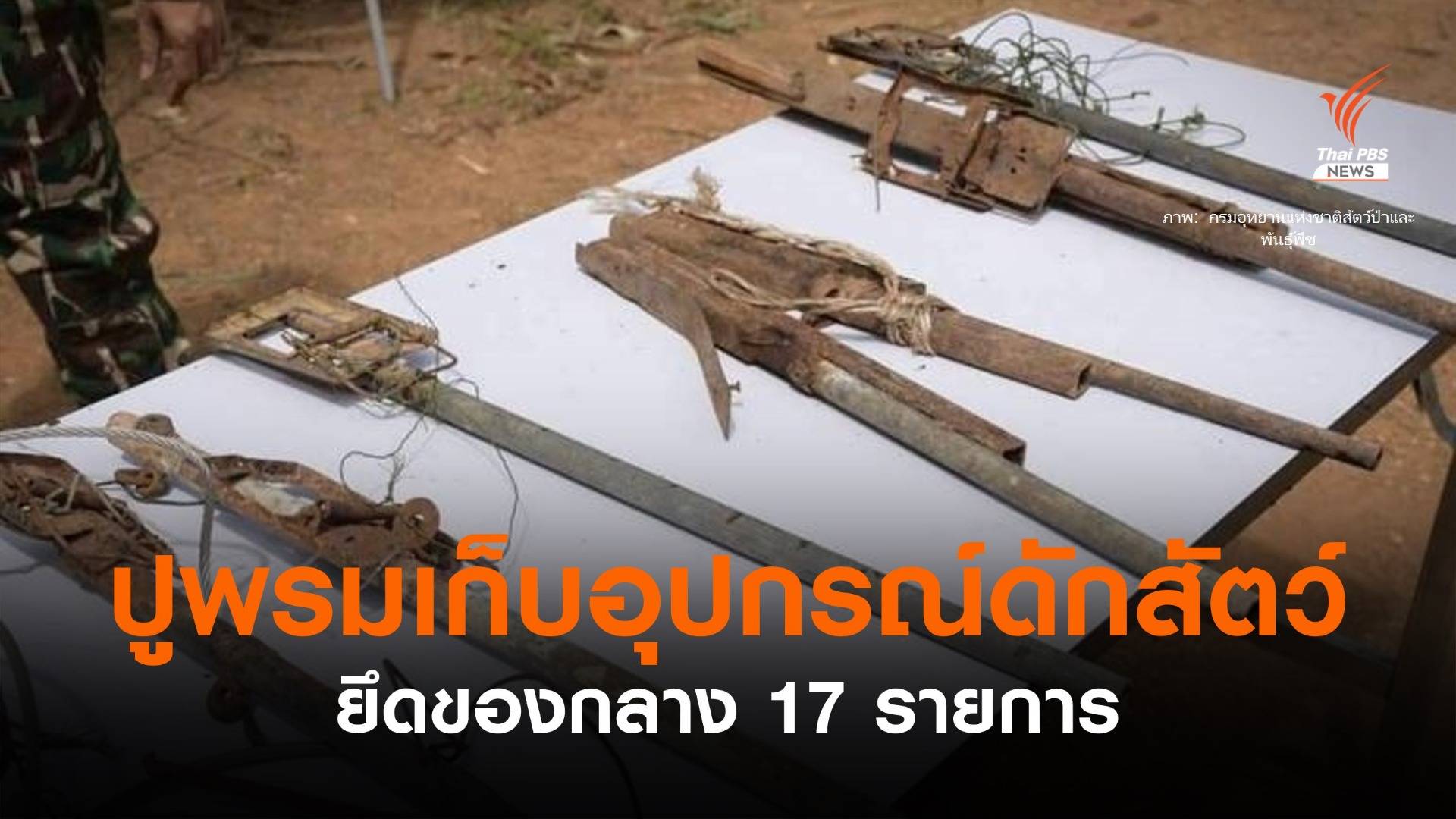 ปูพรมเก็บอุปกรณ์ดักสัตว์รอบเขาใหญ่ พบของกลาง 17 รายการ